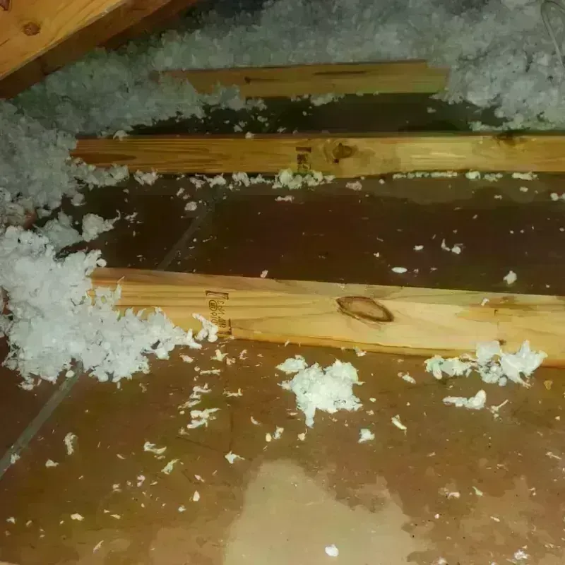 Attic Water Damage in Person County, NC