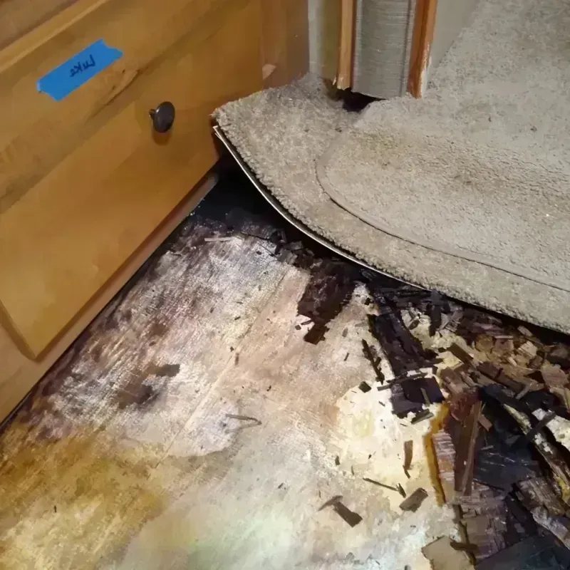 Wood Floor Water Damage in Person County, NC